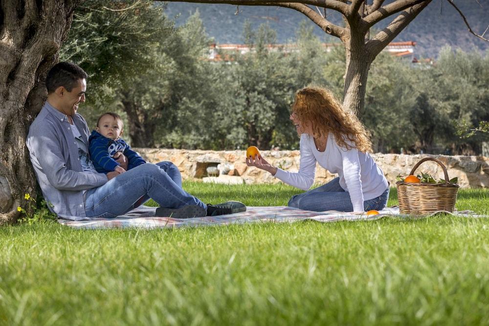 בית הארחה לאונידיון 	Agroktima מראה חיצוני תמונה