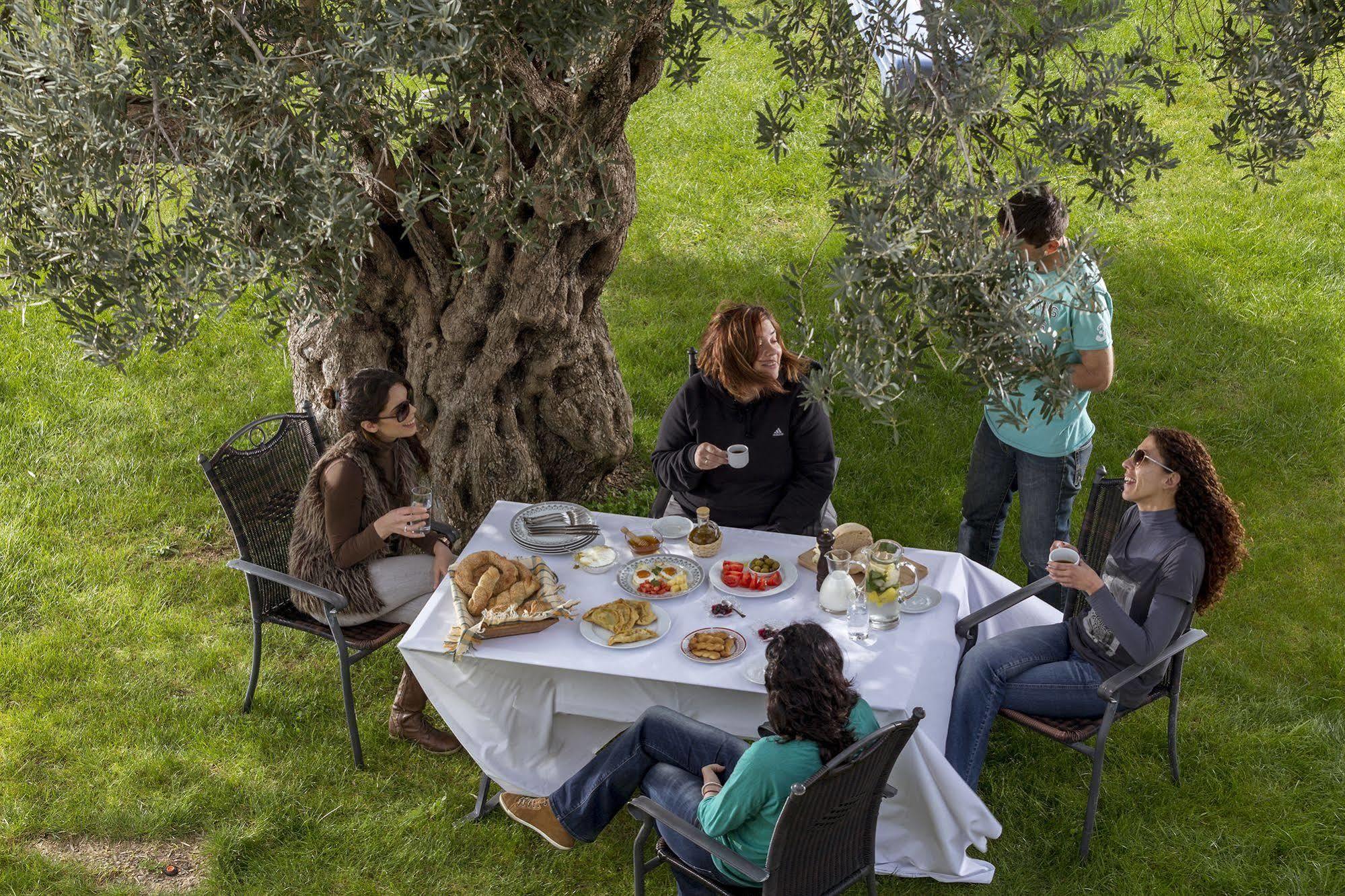 בית הארחה לאונידיון 	Agroktima מראה חיצוני תמונה